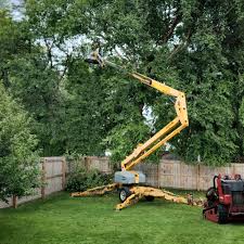 Best Tree Risk Assessment  in Lynden, WA